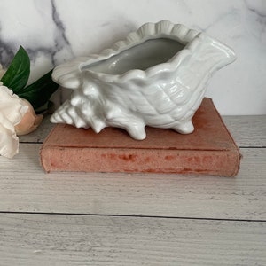 May include: White ceramic seashell planter with a detailed, textured surface. The planter is sitting on a pink velvet book.