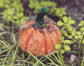 Handmade Felted Pumpkin Halloween Autumn Merino wool tops