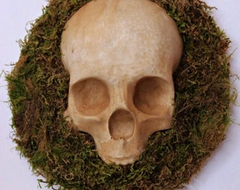 Momento Mori Nature Skull Wall Hanging