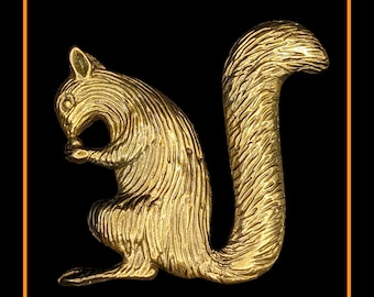 Eichhörnchen Polierte Bronze Brosche 114