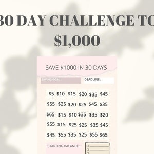 May include: A pink and white printable 30-day challenge to save $1,000. The challenge includes a table with daily savings amounts ranging from $5 to $65. There are also spaces to write in a saving goal, deadline, and starting balance.