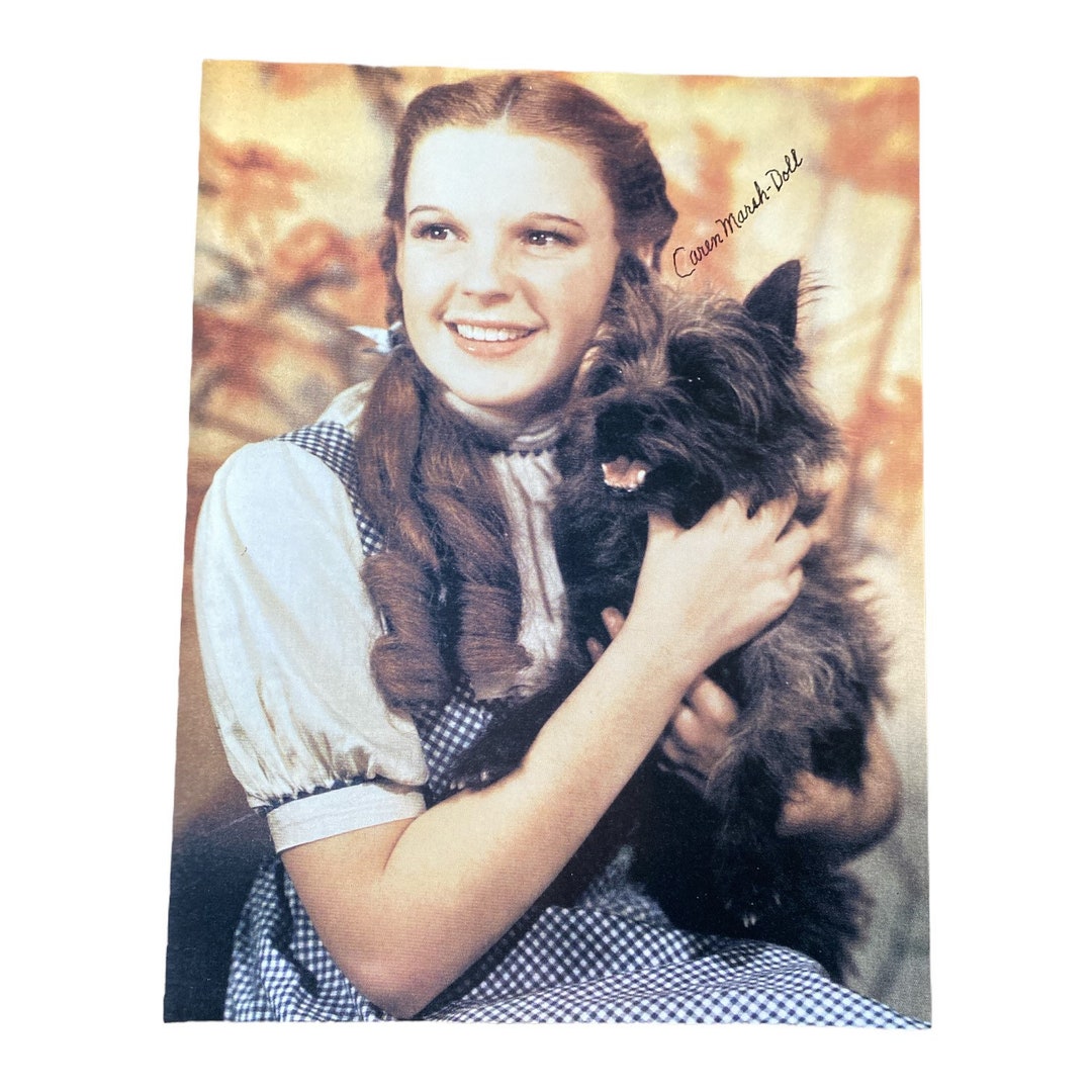 CAREN MARSHDOLL Wizard of Oz Standin for Judy Garland Etsy