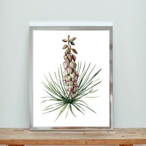 Yucca Flower Watercolor Print: Southwestern Botanical Art