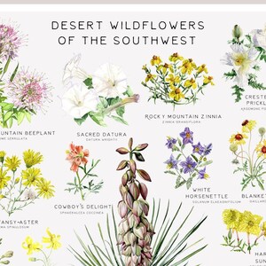 Woestijnposter met wilde bloemen | 24 x 36 inch | Muurkunst | Botanische kaart wilde bloemen | Woestijnwilde bloemen van het zuidwesten door bloemenmeisjesschilderij