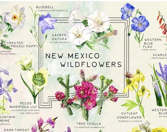 New Mexico Wildflowers Art Print: Botanical Watercolor Poster (13x19 inch)