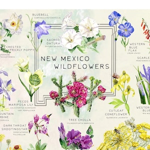 Cartaz de flores silvestres do Novo México | 13 x 19 polegadas | Arte de parede com gráfico botânico | Aquarelas florais por Flower Girl Painting