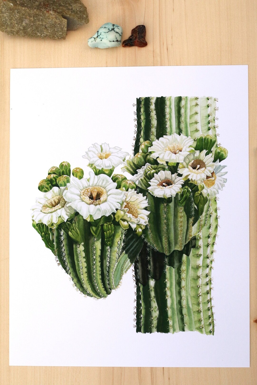 Saguaro Cactus Wall Art. Arizona California Cactus Watercolor Print