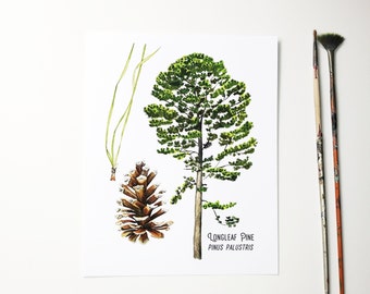 Longleaf Pine Watercolor Print. Southeastern, Texas, Louisiana, Mississippi, Alabama, Florida, Georgia, Carolinas Wall Art. Botanical Tree.