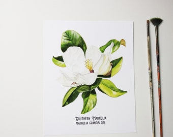 Southern Magnolia Watercolor Print. Magnolia Flower Wall Art. Southern Decor.