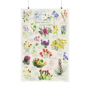 Cartaz de flores silvestres do Novo México | 24 x 36 polegadas | Arte de parede com gráfico botânico | Aquarelas florais por Flower Girl Painting