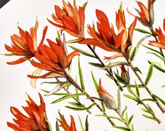 Lámina de acuarela con pincel indio: Arte mural de flores silvestres del suroeste