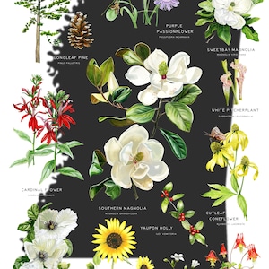 Pôster da Flora Nativa do Mississipi | 13 x 19 polegadas | Arte de Parede | Quadro Botânico de Flores Silvestres por Flower Girl Painting