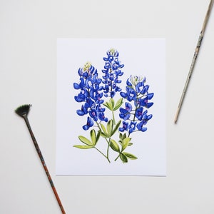 Texas Bluebonnet Watercolor Print. Bluebonnet Meadow. Native Wildflower Botanical Print. Texas Wildflower Art.