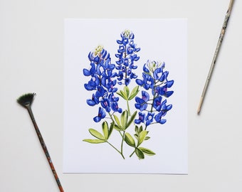 Texas Bluebonnet Watercolor Print. Bluebonnet Meadow. Native Wildflower Botanical Print. Texas Wildflower Art.