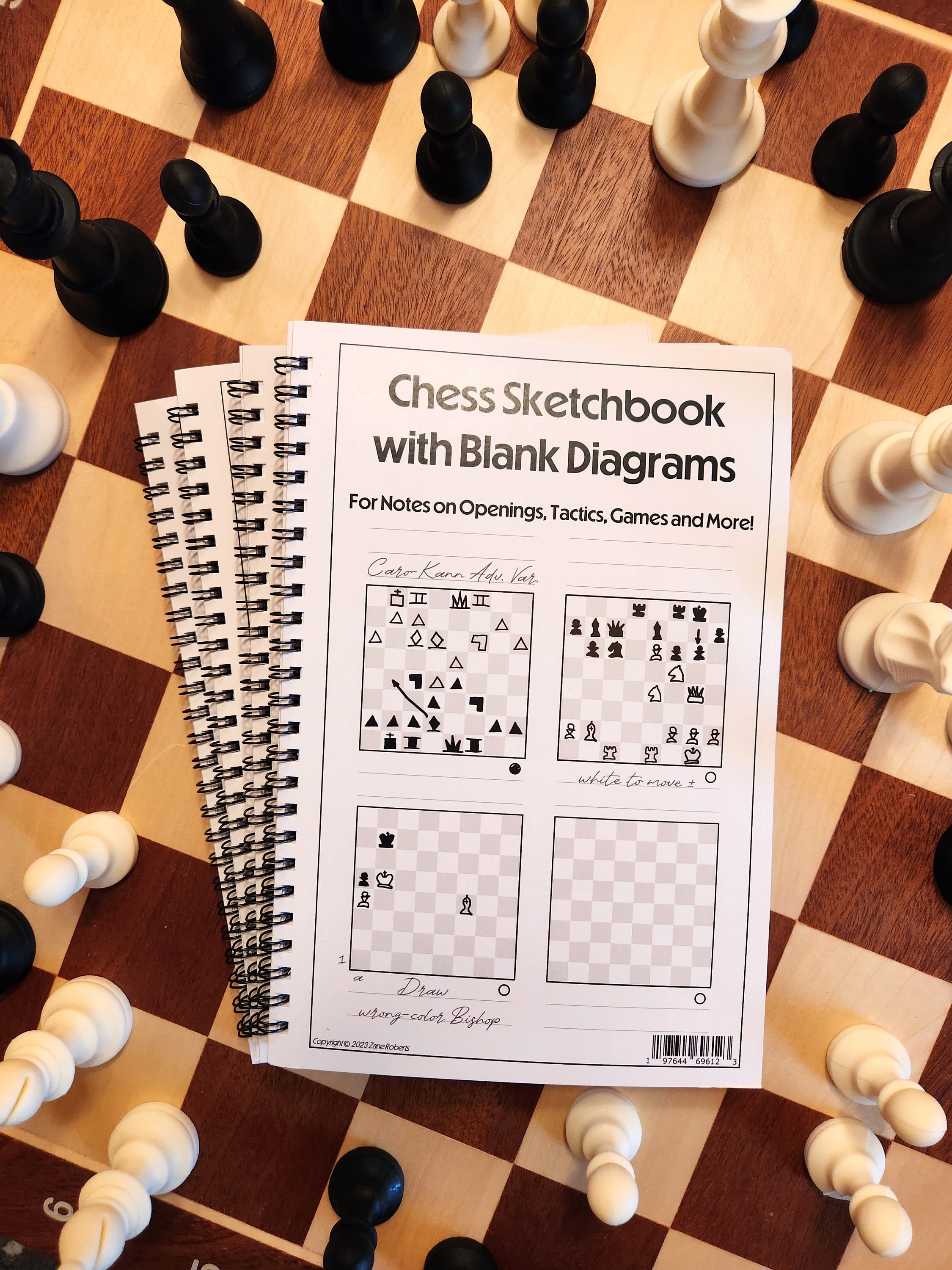 Life Is Like A Game Of Chess: I Don't Know How To Play Chess: Wide Ruled  Composition Notebook - Ink, Grace: 9781087226392 - AbeBooks