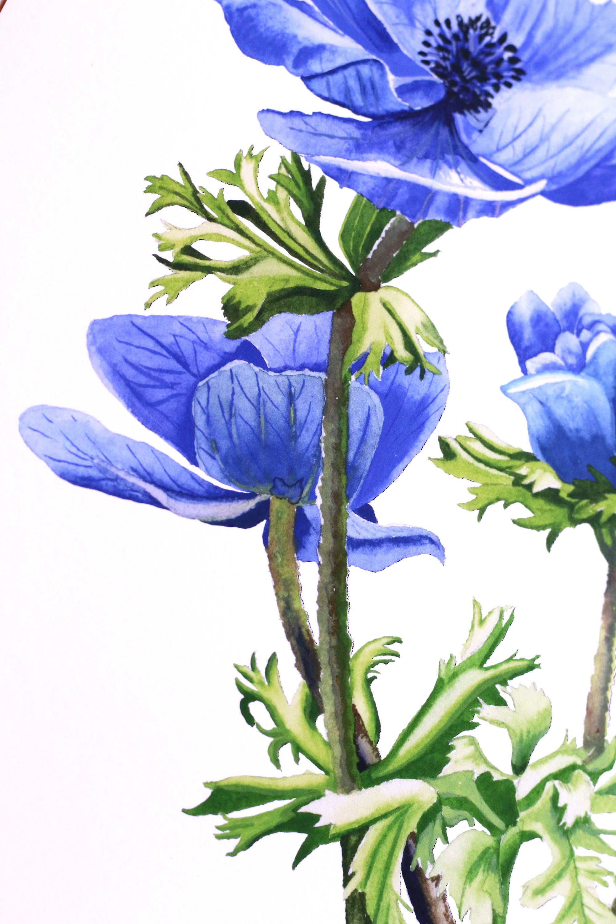 青いアネモネの花の水彩画：花のファインアート - Etsy 日本