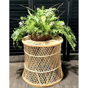 May include: A round, natural-toned rattan side table with a woven diamond pattern. The table supports a brown pot filled with green ferns and small white flowers. The table is approximately 24 inches tall.