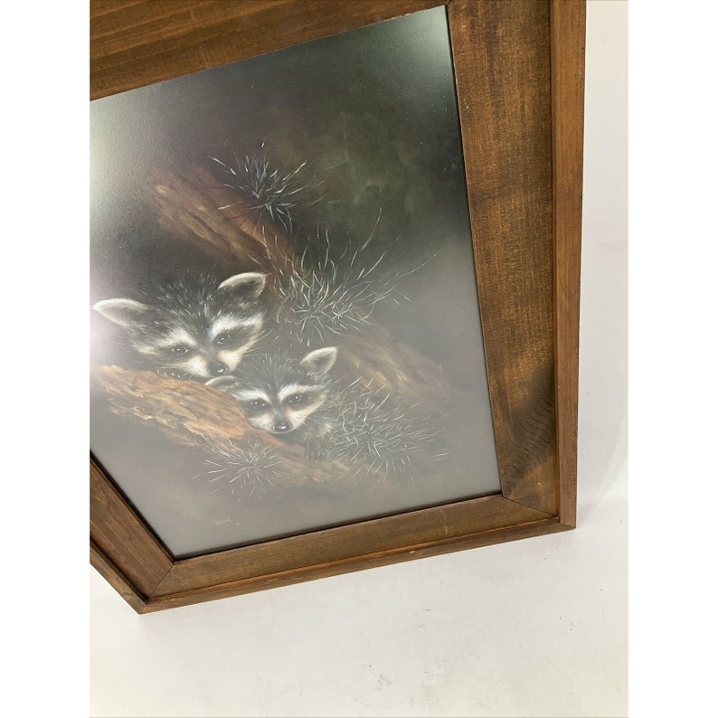 Beautiful Framed Artwork Wildlife Baby Raccoons by Allison Still Dark ...