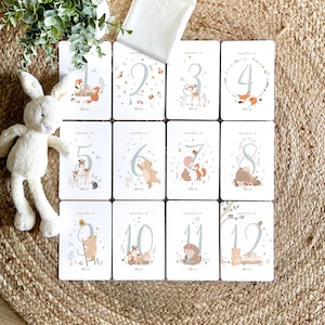 Illustrated milestone cards "Forest Theme", for the first months of pregnancy or for babies from 1 to 12 months. To fill with memories. 12x18cm.