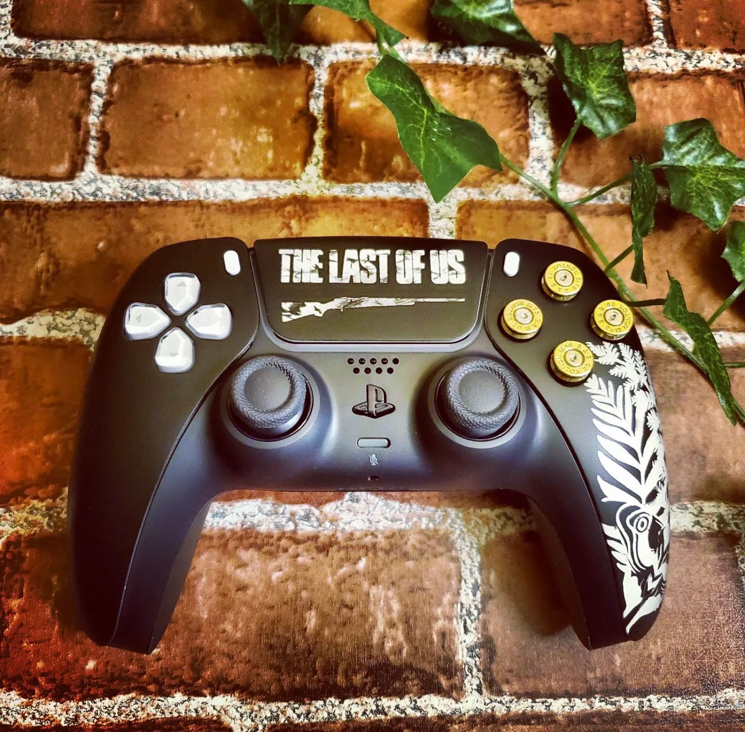 Manette PS4 custom The Last Of Us Palettes Sans