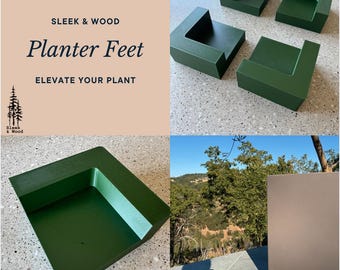 zz plant pot size ZZ Plant – Uniquely Chic Florist main image 0