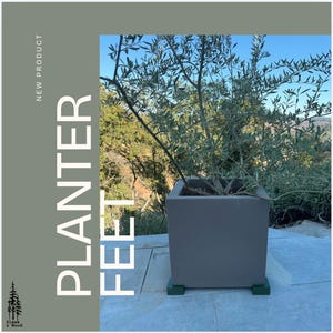 May include: A grey square planter with a small olive tree growing inside. The planter is sitting on a patio with green feet.
