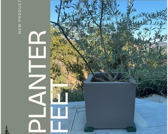 natural plant fertilizer Natural & Organic ALL-PURPOSE Plant Food  Back to the Roots