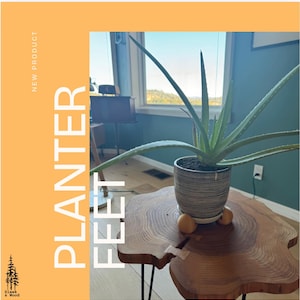 May include: A wooden planter with a natural wood finish and rounded edges. The planter is sitting on a wooden table with a live aloe plant in a gray and white ceramic pot. The planter has three wooden feet.