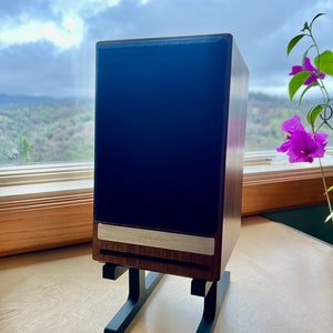 May include: A pair of dark wood bookshelf speakers with a silver nameplate that reads "audioengine". The speakers are on black metal stands and are in front of a window with a view of a cloudy sky and hills.