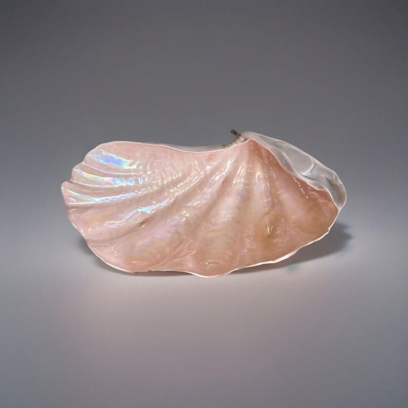 Vintage Ceramic Oyster Shell Bowl: Pink Pearlescent Glaze, 1970s Decor ...