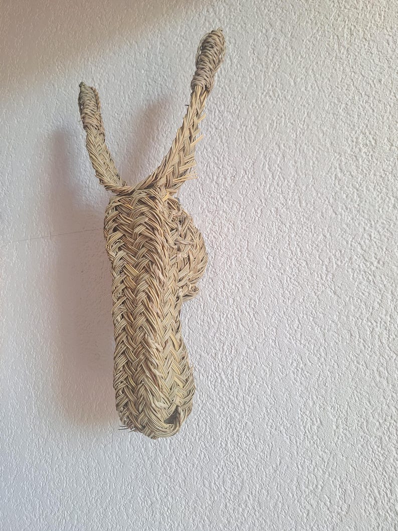 Trophée Mural Tête d'Âne en Paille Tressée