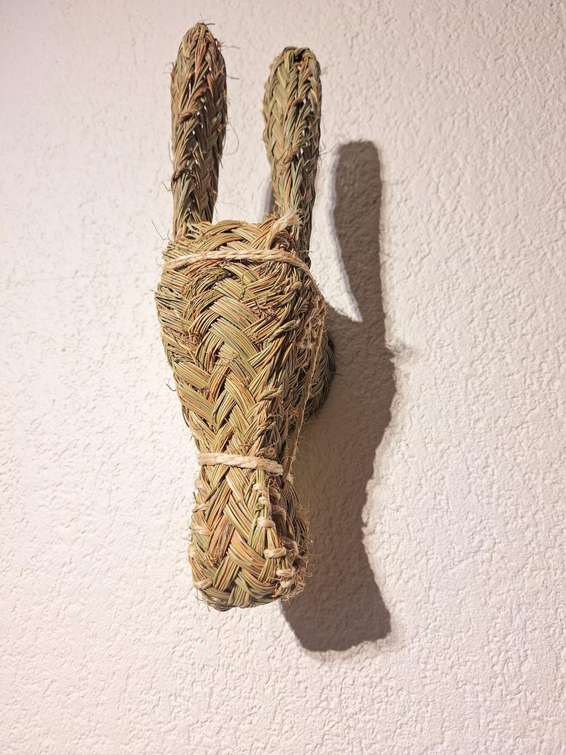 Trophée Mural Tête d'Âne en Paille Tressée