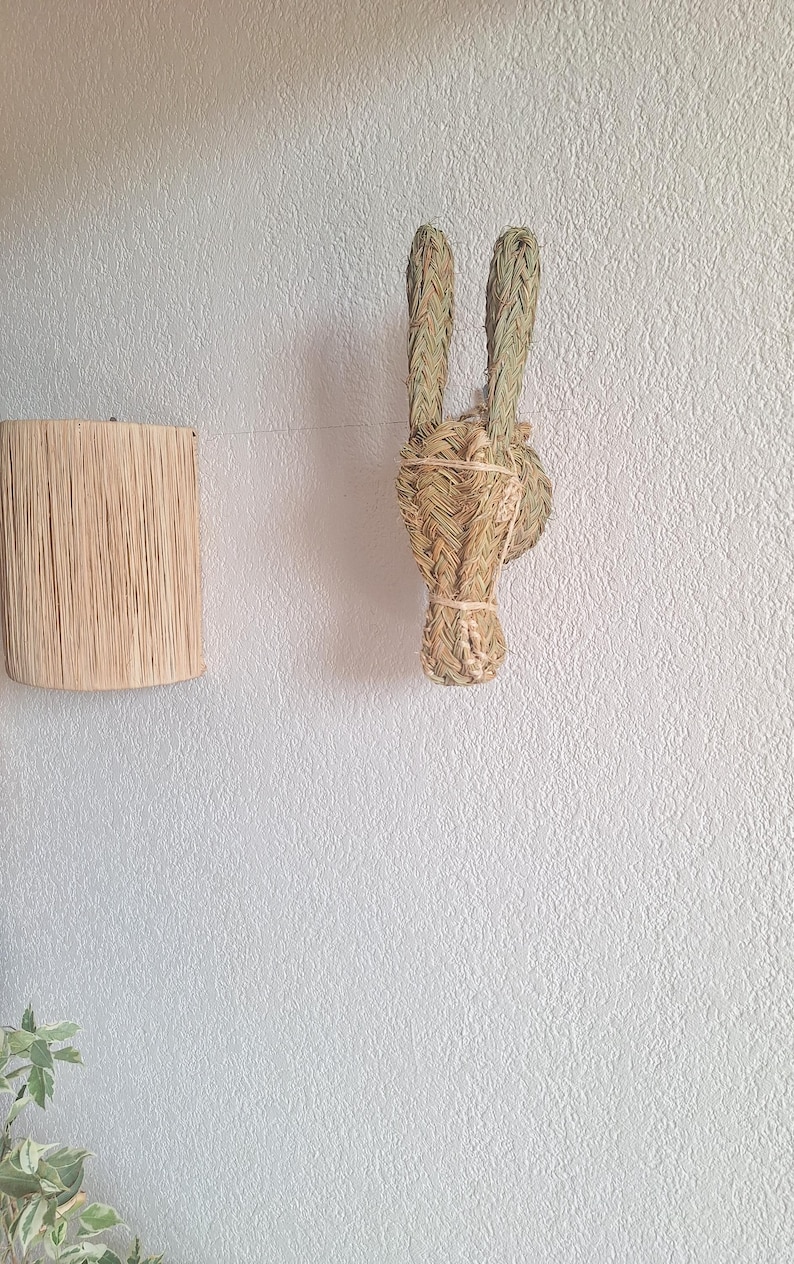 Trophée Mural Tête d'Âne en Paille Tressée