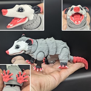 Realistic Opossum Toy Premium 4 Color Edition / 3D Printed Articulated Flexible Fidget Toy by MatMireMakes / Flexi Animal For ADHD Autism