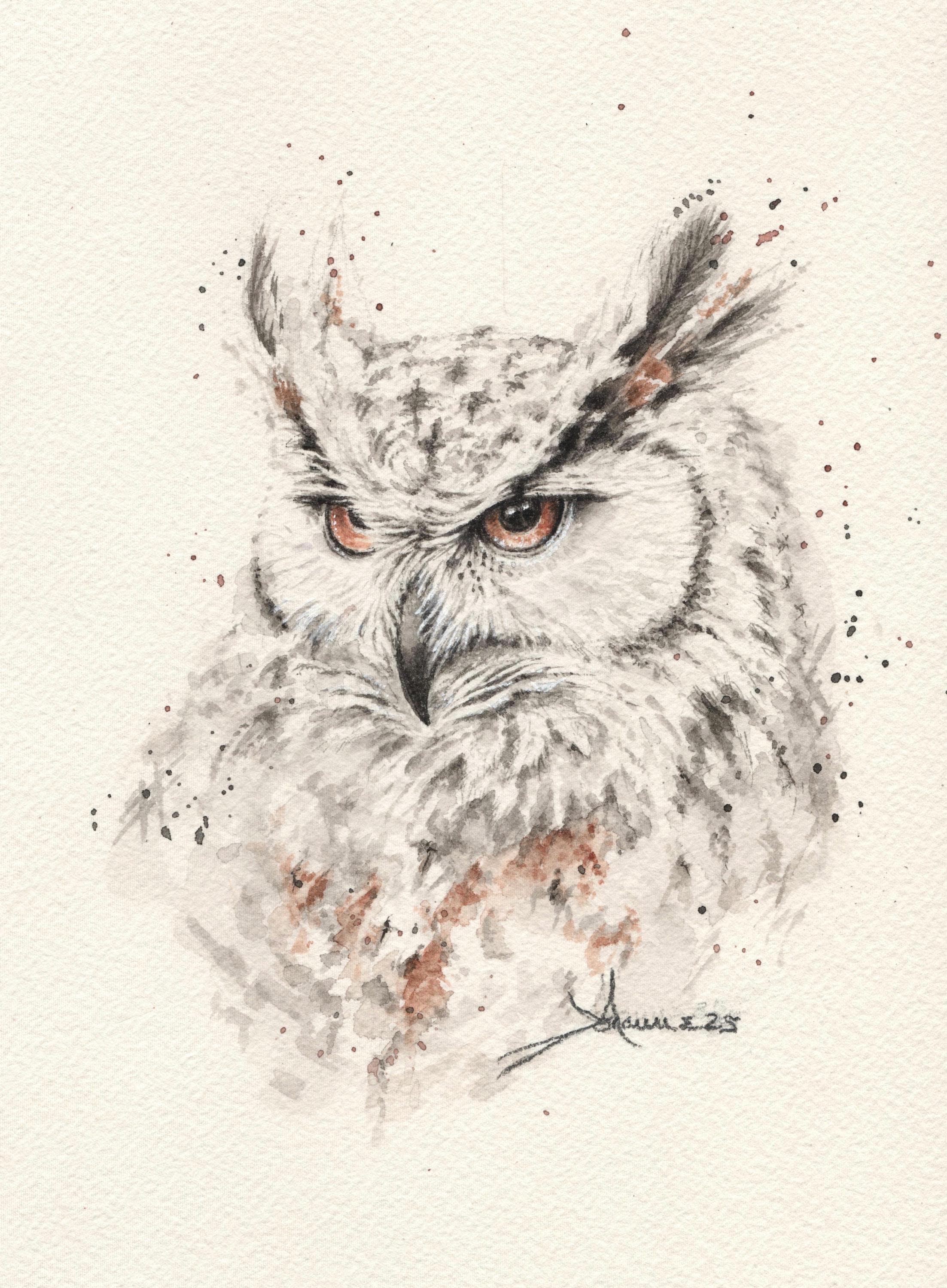 Bird-Owl Portrait Original watercolor painting, 6 x 8inches.  Raptor. Birds of Prey. Black and gold 