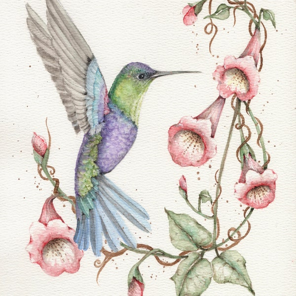 Hummingbird with Trumpet Vine Original 8x10 signed watercolor painting, matted. Hummingbird and Flowers