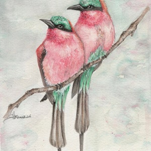 Southern Carmine Bee Eaters~Original 8x10 signed watercolor painting, matted. Pink, green, teal pair of birds.