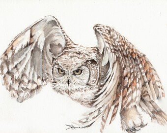Bird-Barred Owl Original watercolor painting, 8.5 x 11 inches. Barred Owl in Flight. Raptor. Birds of Prey Matted