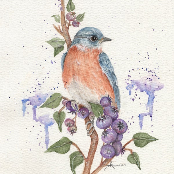 BIRD Eastern Bluebird~Original signed watercolor painting 8x10 inch, matted, detailed Bluebird perched on a Berry Bush..