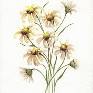 Original watercolor painting, signed “Daisies” 8”x6” matted