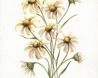 Original watercolor painting, signed “Daisies” 8”x6” matted
