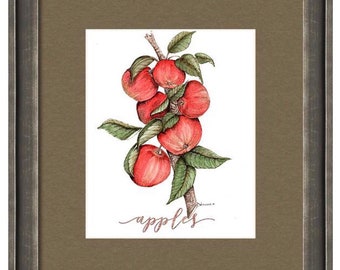 Apples Ripening on Tree. Botanical watercolor painting.