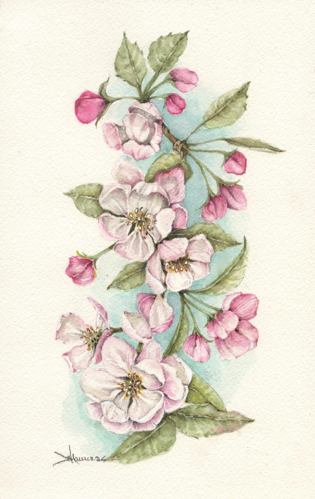 Botanical Apple Blossoms~ Original Watercolor Painting. Floral, Pink ...