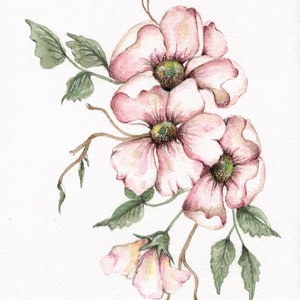 Original watercolor painting. Pink Flowers. Botanical floral 8x6, signed and matted.