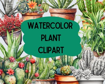 Watercolor Plant Clip Art, Plant PNG, sublimation, Aloe Clipart, Cactus Clipart, birthday, card making, card images