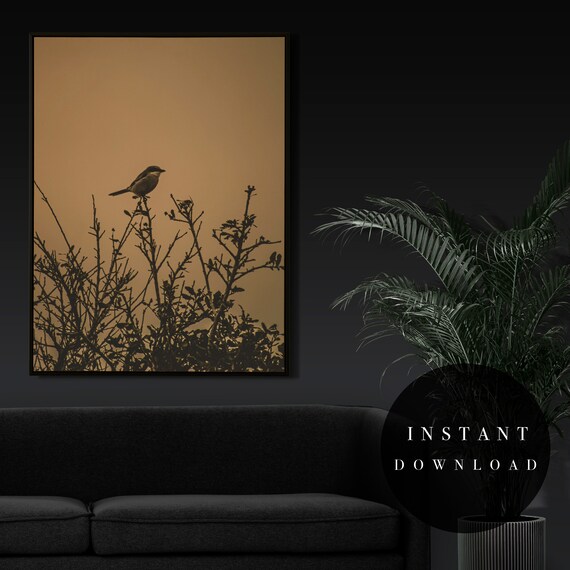 Digital Art Print Gold Nature Wall Art Bird Photography Modern Etsy
