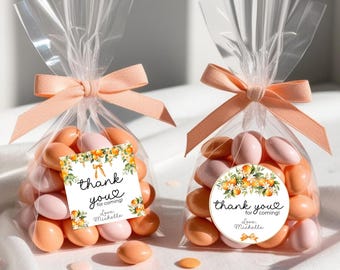 Ein wenig süßes Babyparty-Aufkleberetikett, bearbeitbare orangefarbene Geschenkanhänger, ein kleines süßes ist auf dem Weg-Babypartydekor, Partybevorzugungsaufkleber
