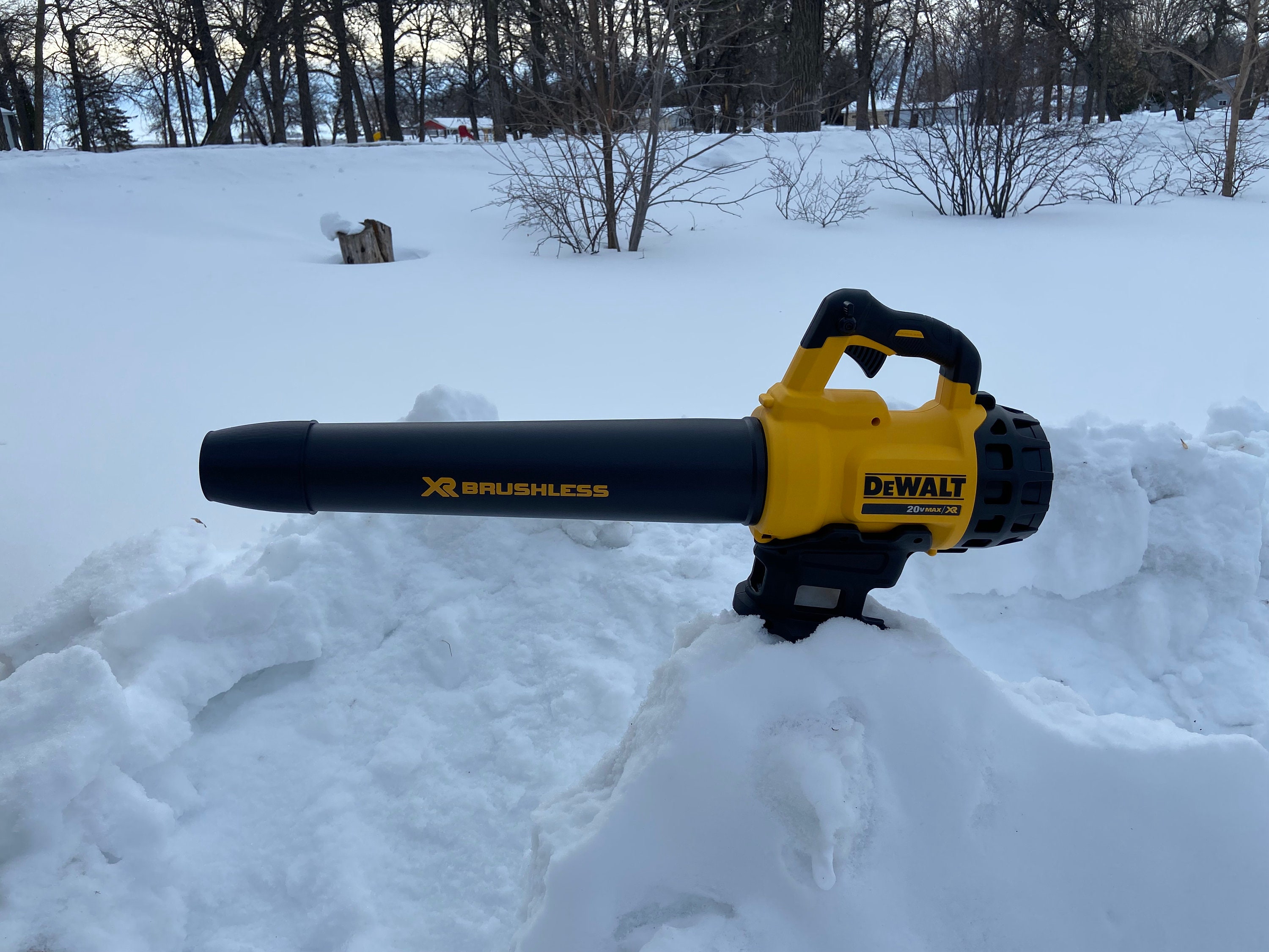 Dewalt leaf sale blower 20v max