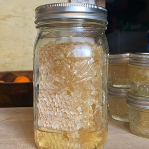 Natural Organic Honeycomb