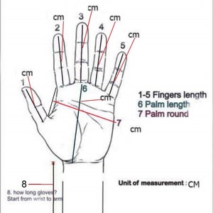 K&ouml;nnte beinhalten: Diagramm, das zeigt, wie man eine Hand f&uuml;r Handschuhe misst. Das Diagramm zeigt eine Hand mit Linien, die angeben, wo man die L&auml;nge jedes Fingers, die Handfl&auml;chenl&auml;nge und den Handfl&auml;chenumfang misst. Die Ma&szlig;e sind in Zentimetern.